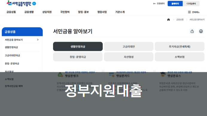 정부지원대출